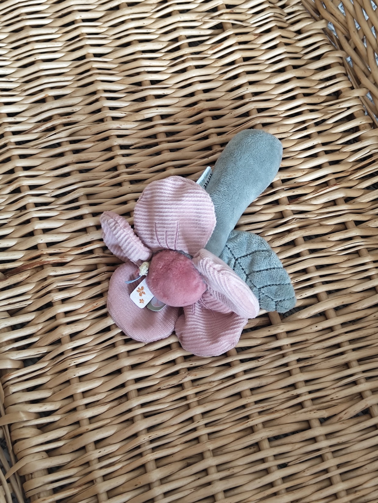 Little Dutch Rasselblume