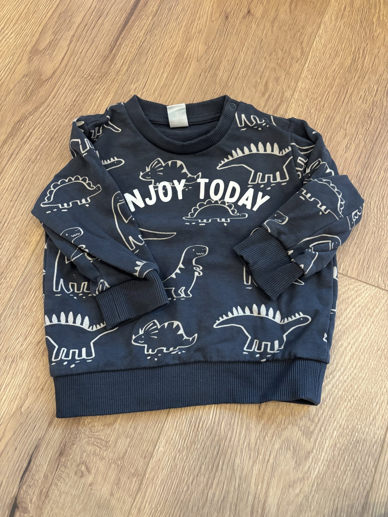 Dino Pullover blau 