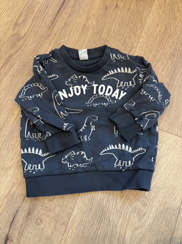Dino Pullover blau 