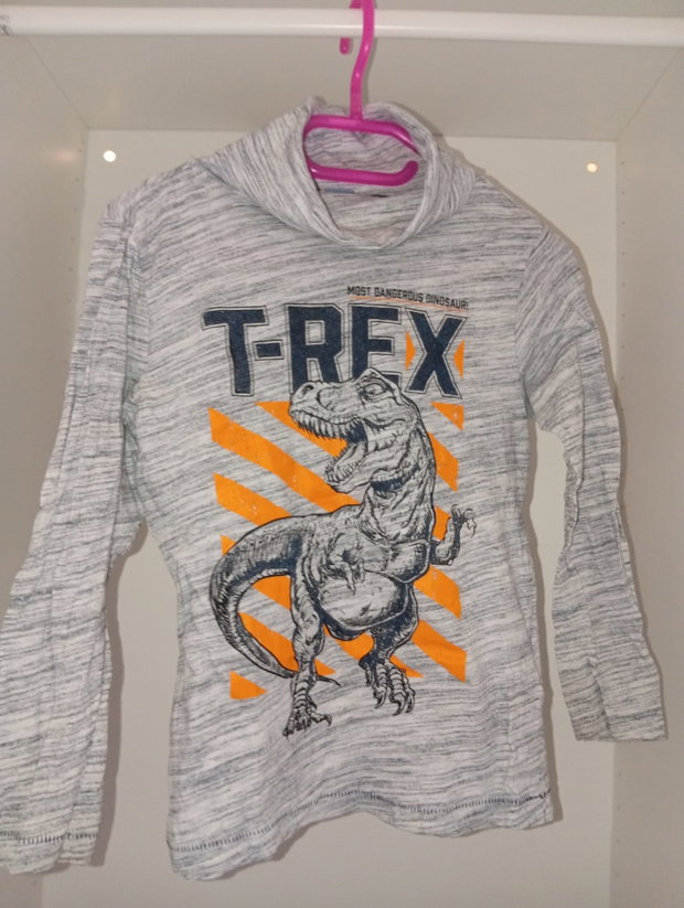 Grauer Rollkragenpullover mit T-Rex 🦖🩶