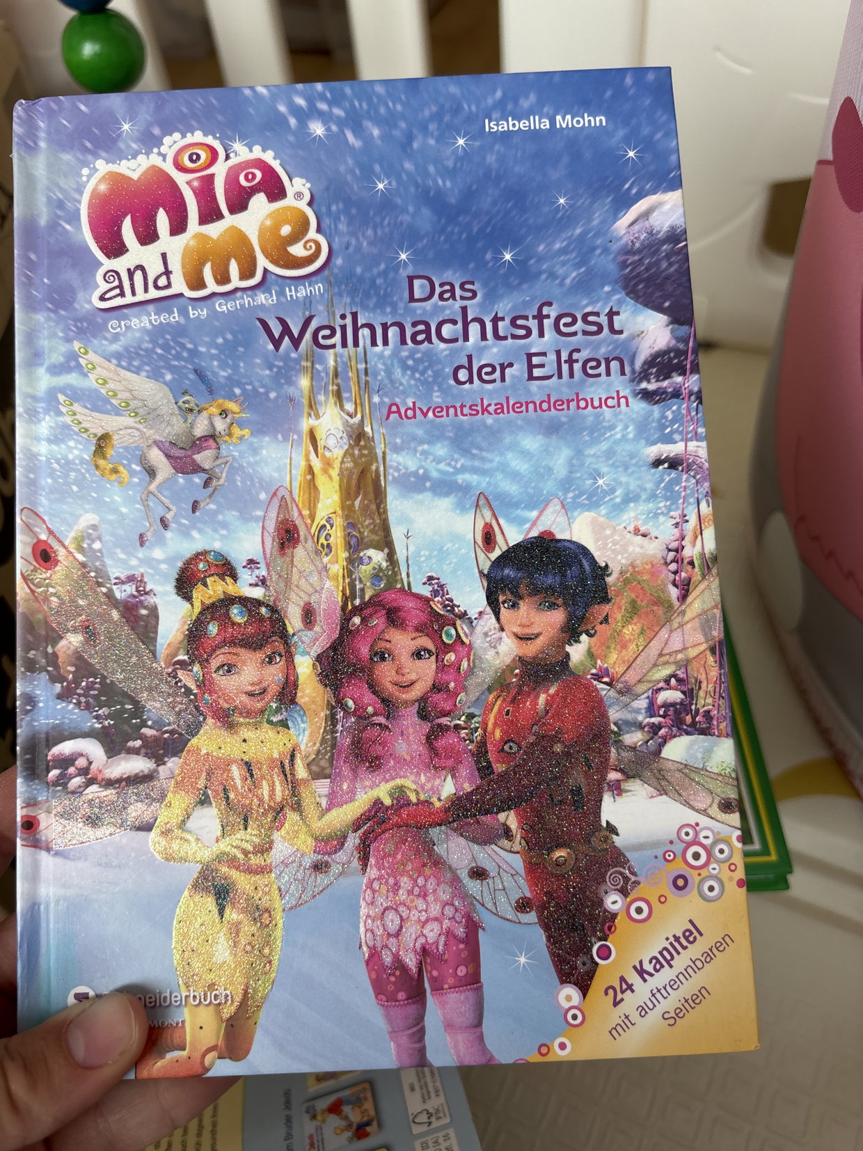 Adventskalender Buch 