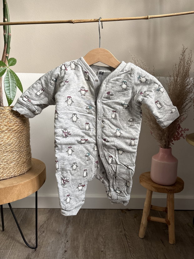 Dicker Pyjama Pinguine