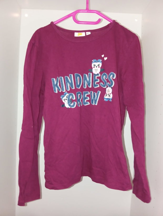💜 Langarmshirt in Beerenton mit Eulenmotiv – Gr. 146/152