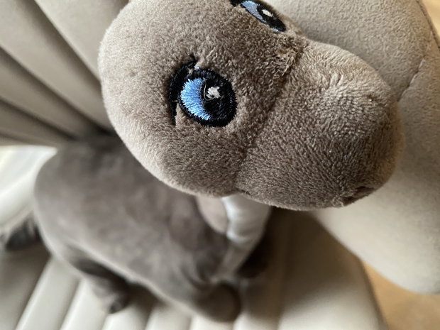Dino Langhals, rar 