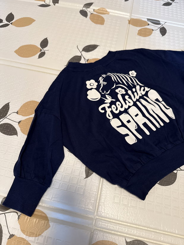 Sweatshirt  Pferd 
