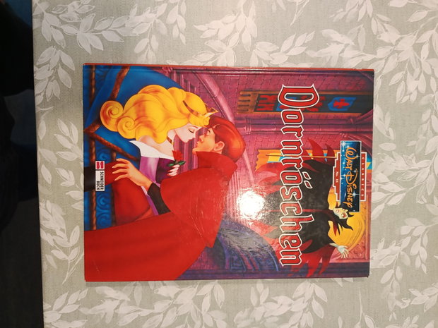 Disney Buch Dornröschen 