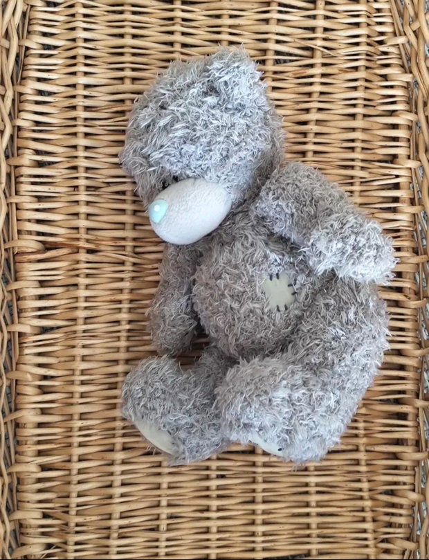 Teddy "you and me" 