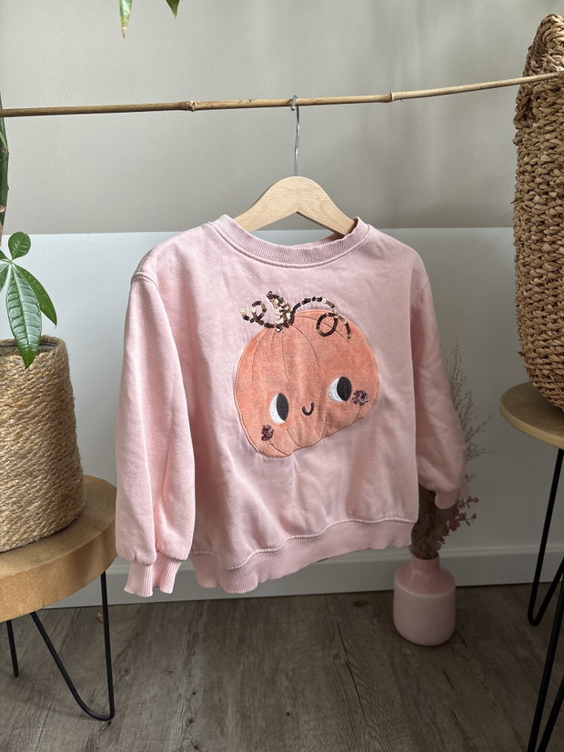 Kürbis Pulli