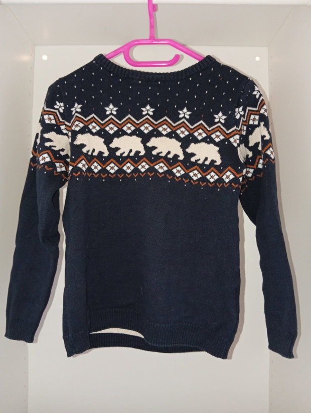 Dicker Winterpullover mit Eisbären ❄️🐻‍❄️