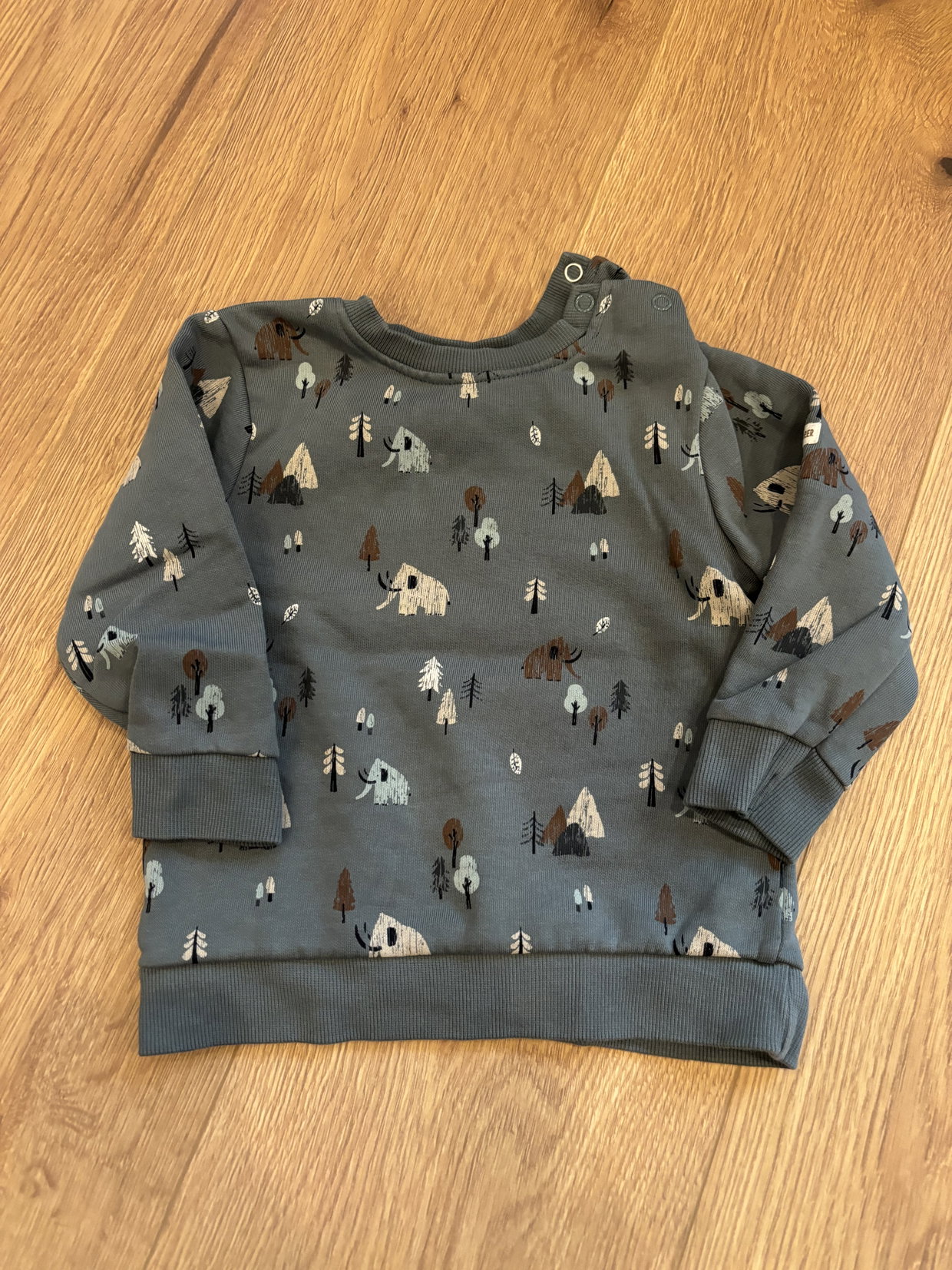 Sweatshirt Mammut 