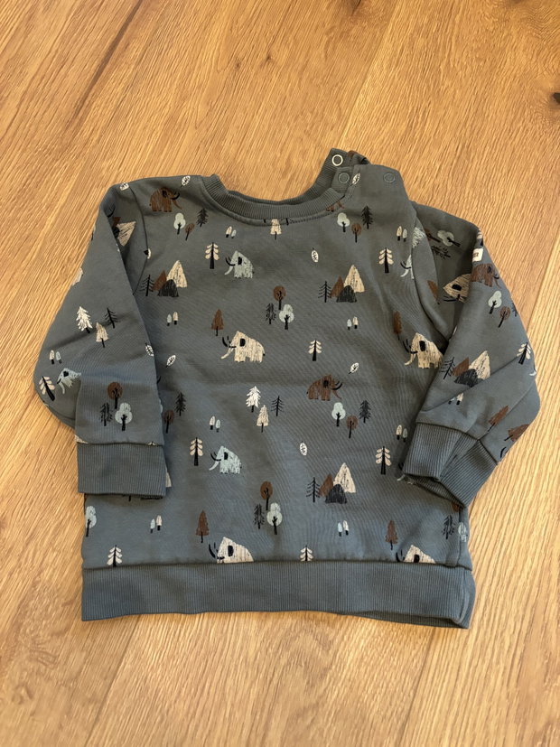 Sweatshirt Mammut 