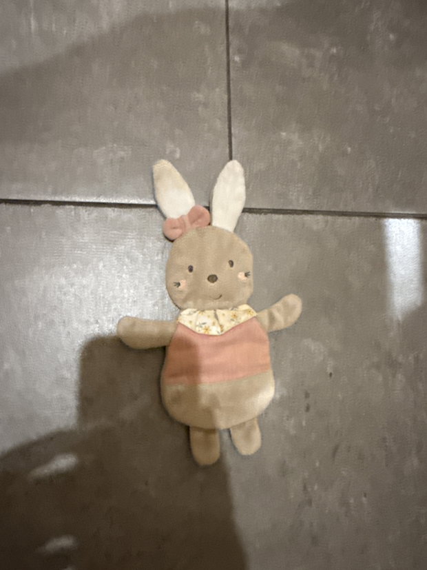 Hase