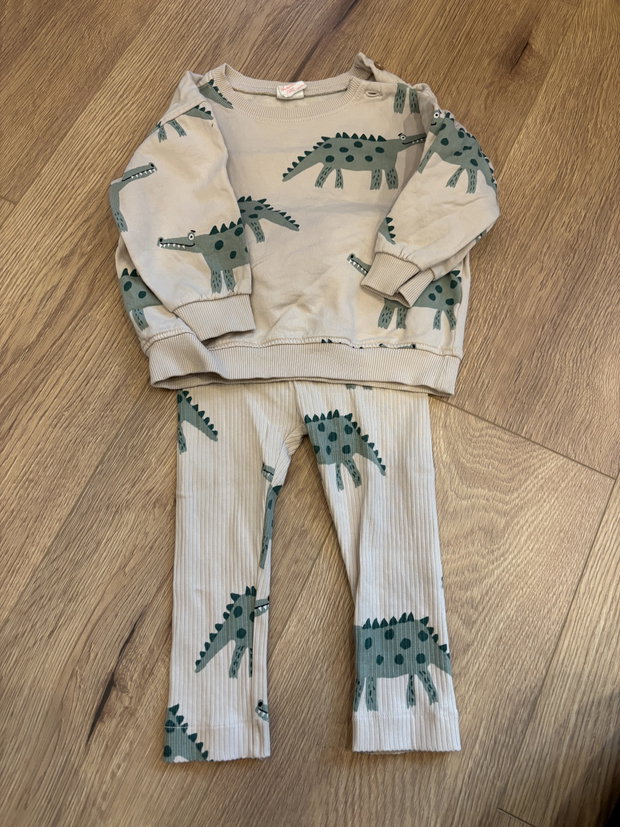 Krokodil Set 