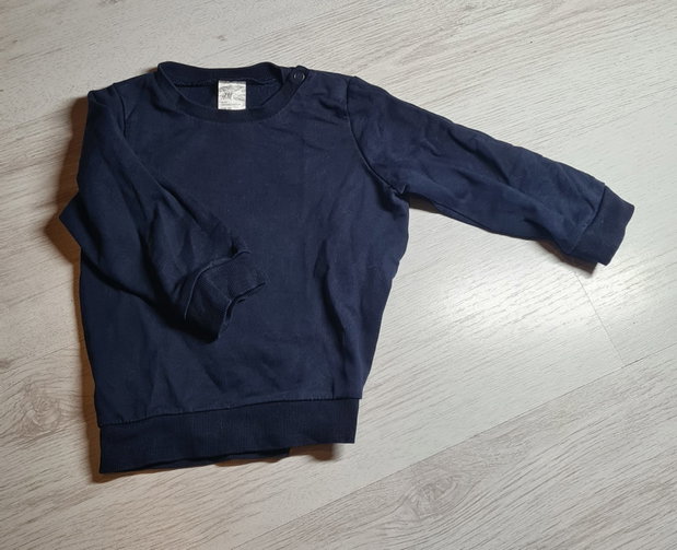 Pullover Blau