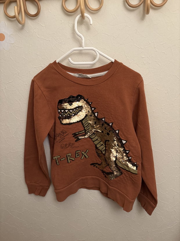 Dino Pullover braun 122/127