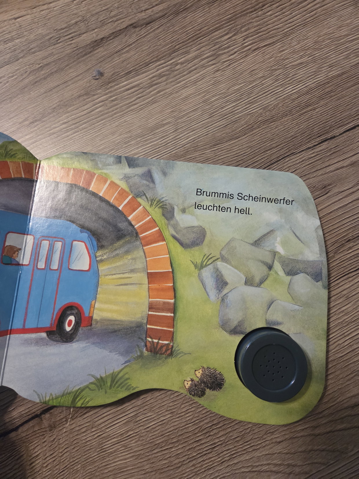 Buch Brummi, der Bus