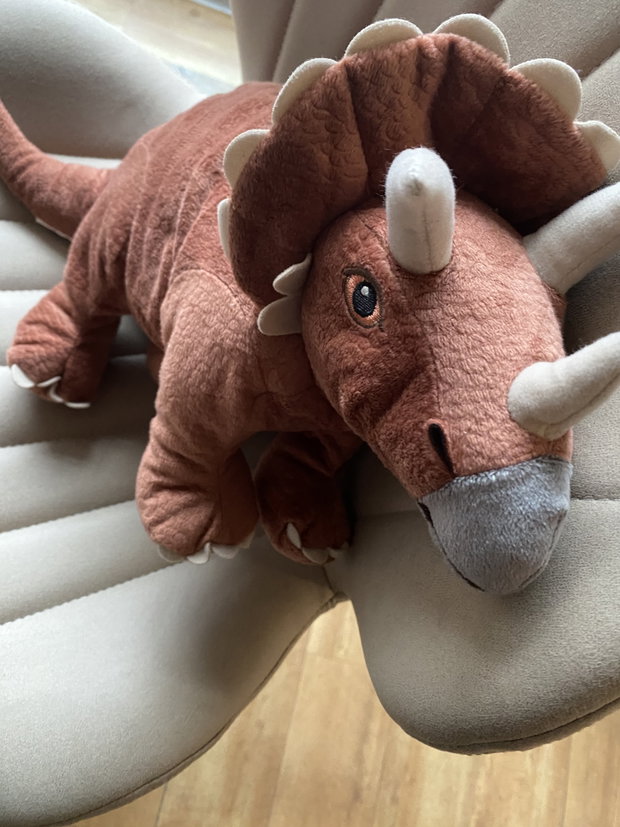 Dino Tri, rar 