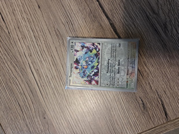 Pokemon Karten Nr.4