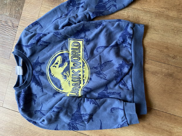 Jurassic Pulli gr 122