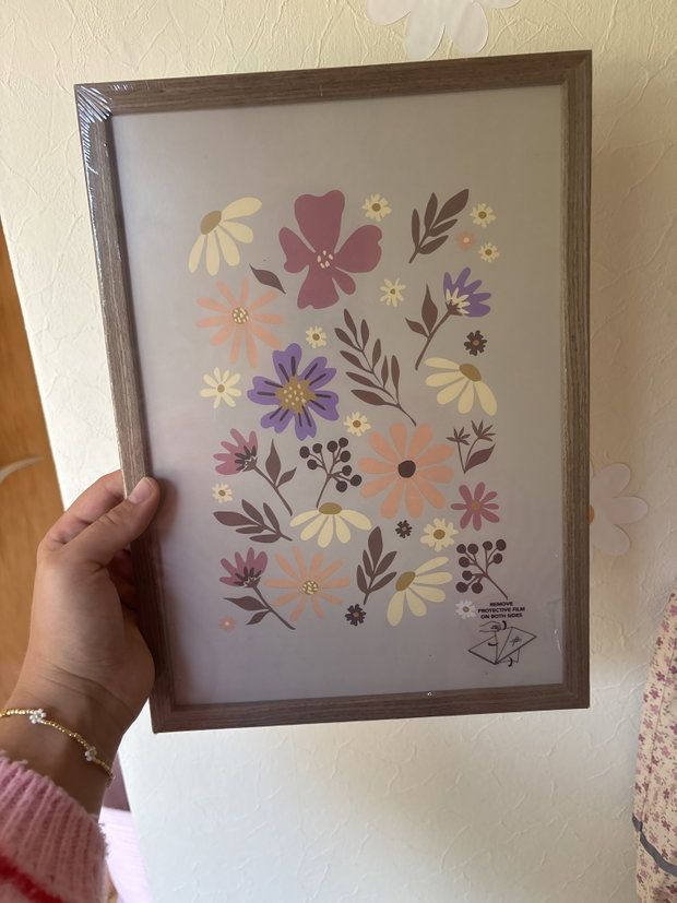Bild Gänseblümchen 