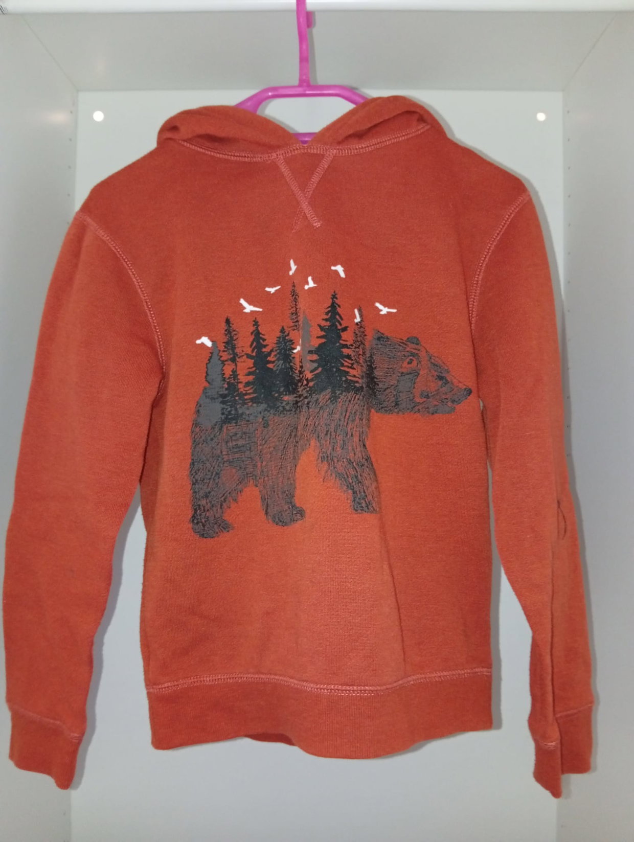 Dicker brauner Kapuzenpullover mit Waldmotiv 🤎🐻