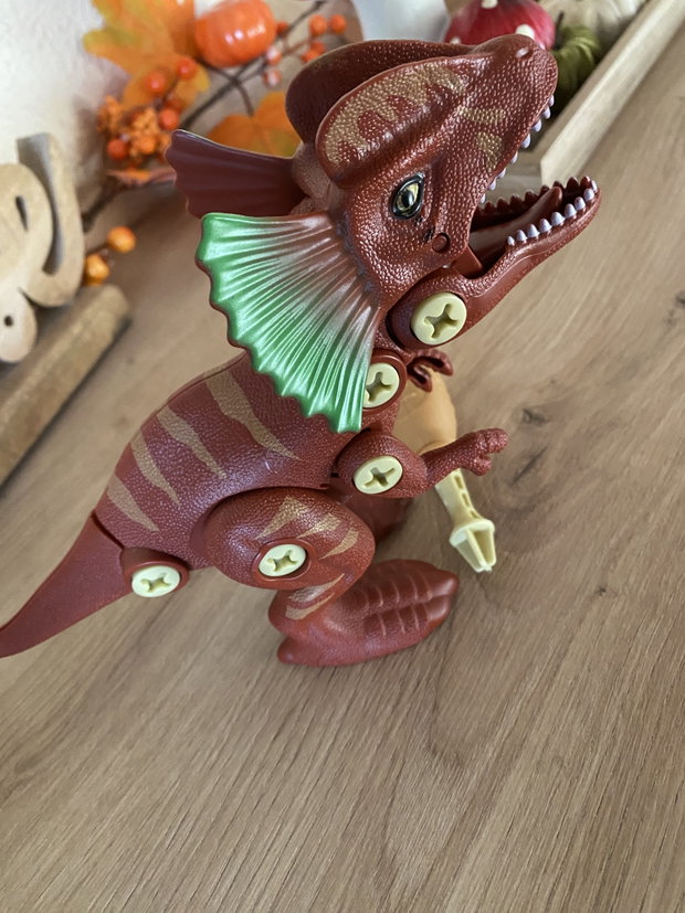 Dino, braun