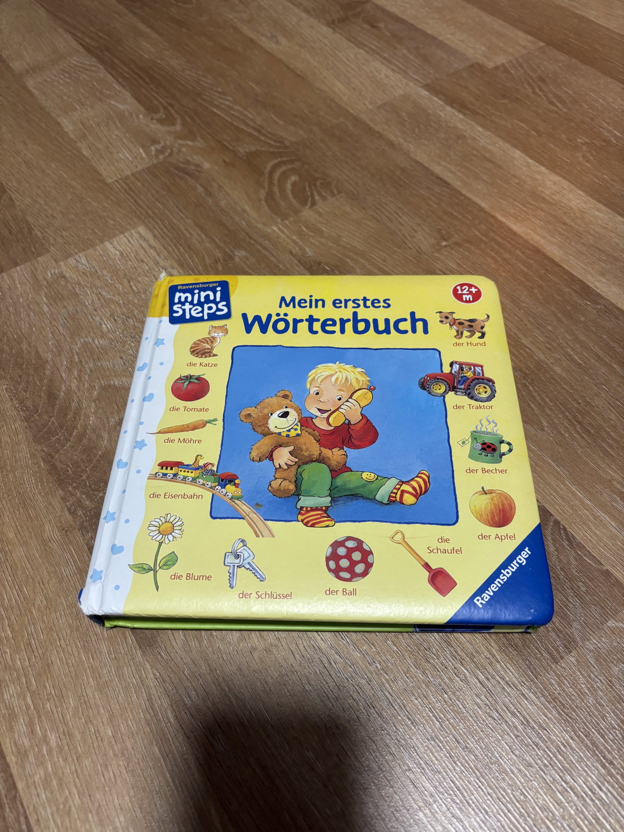 Buch Mein erstes Wörterbuch