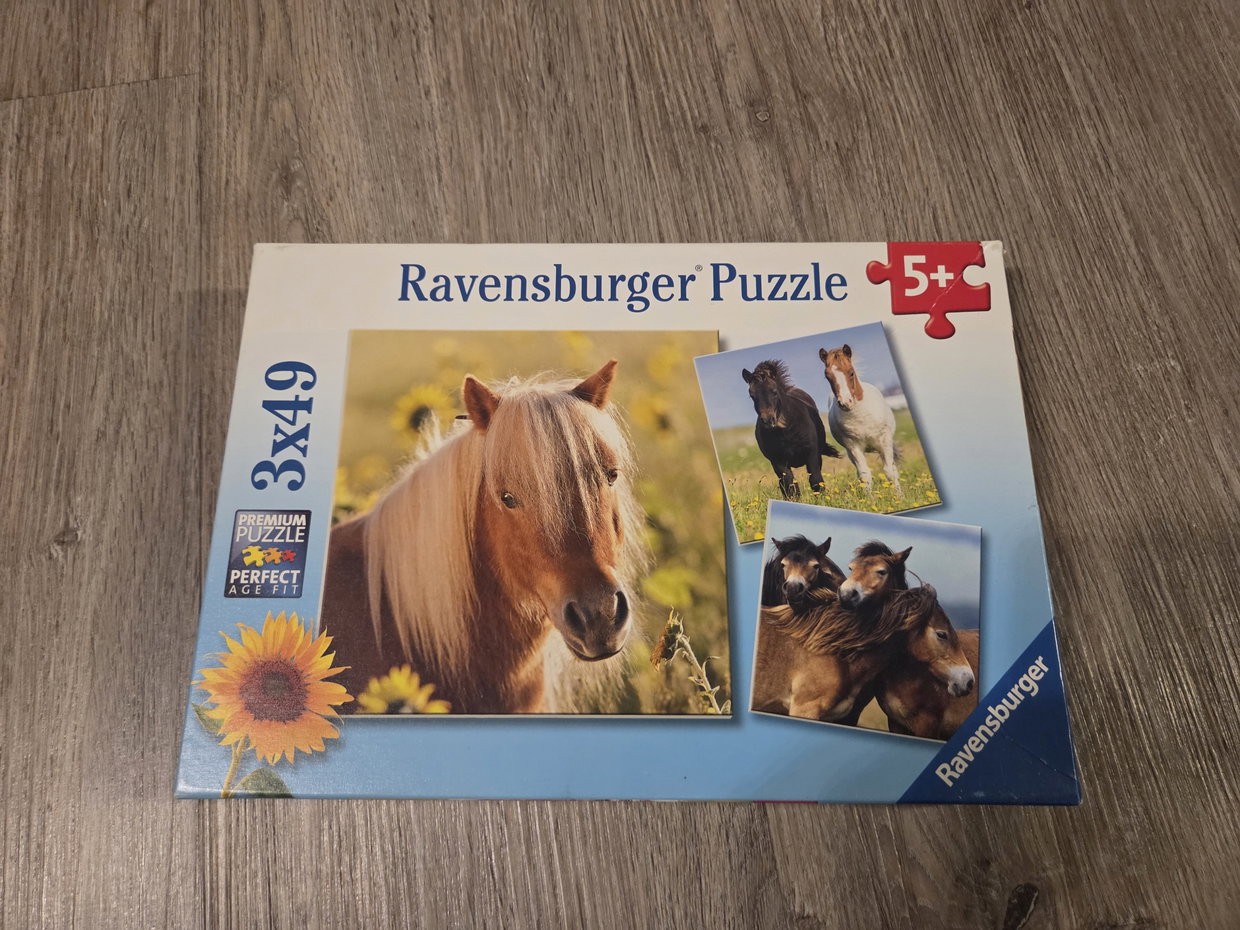 Pferde Puzzle 