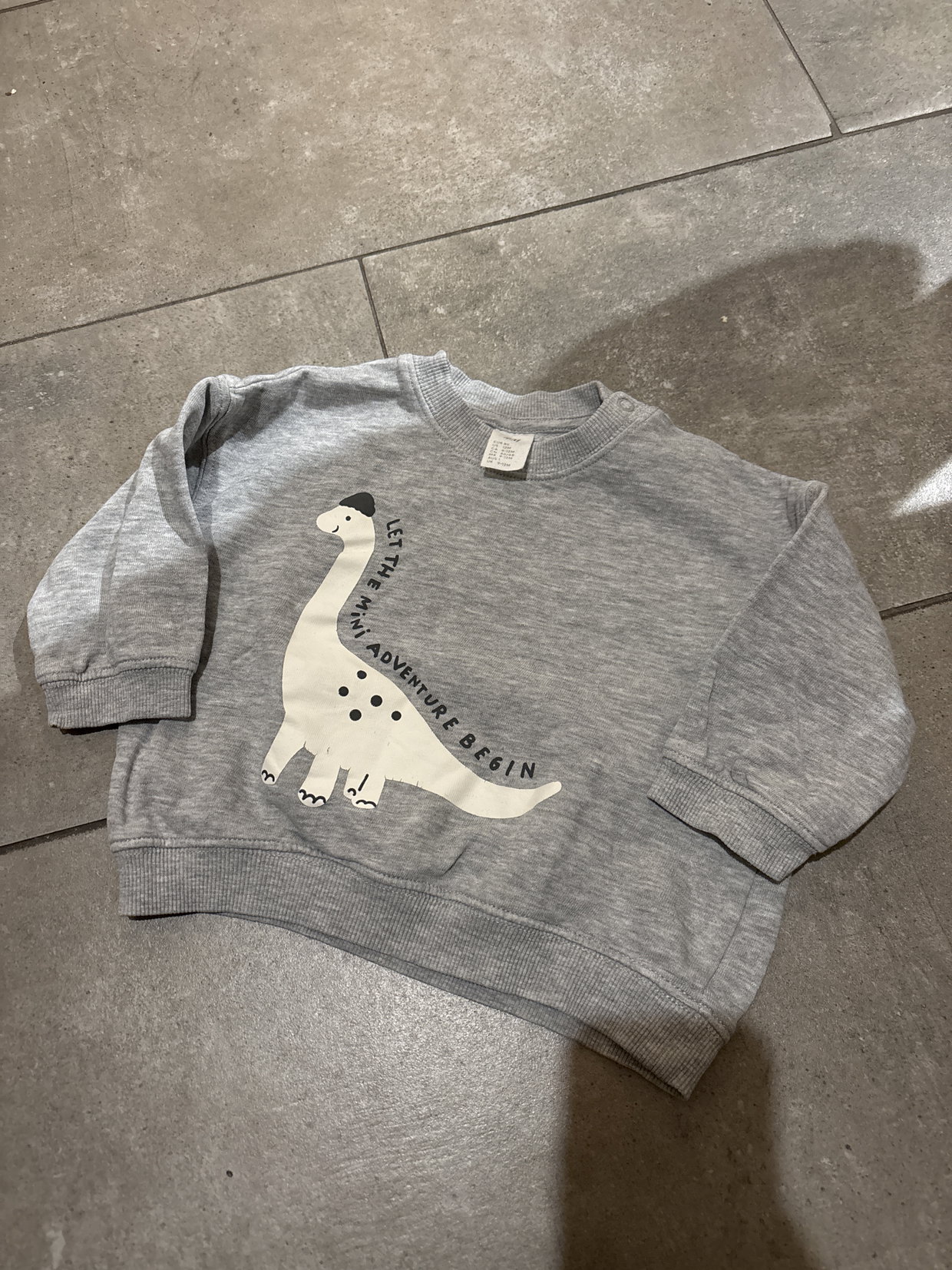 Grauer Dino Pullover 